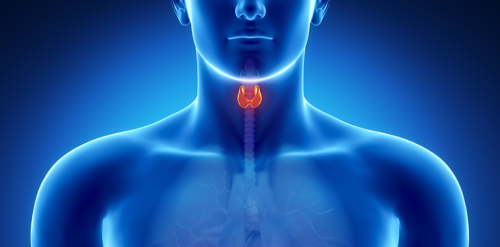 Schilddrüsenerkrankung